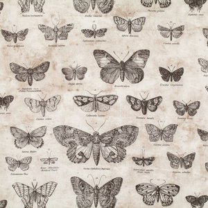 Butterflight in Taupe by Tim Holtz