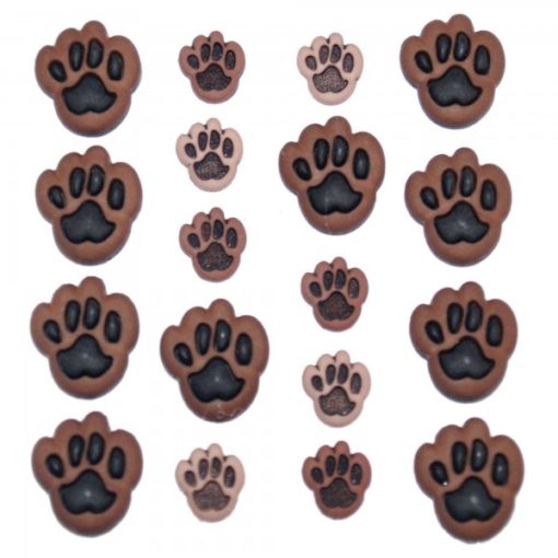 An assortment of dog paws in various sizes