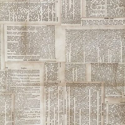 Tim Holtz Dictionary Wide Back
